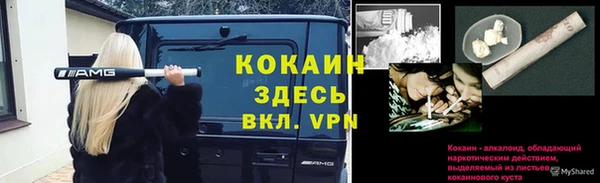 соль ск Нефтекумск