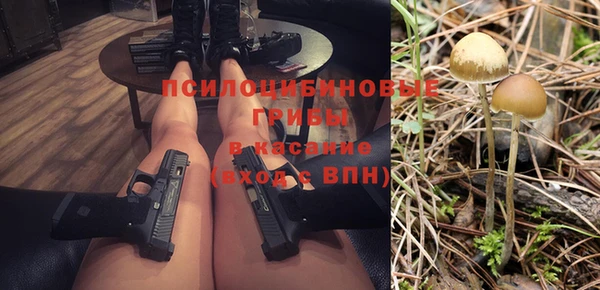 соль ск Нефтекумск