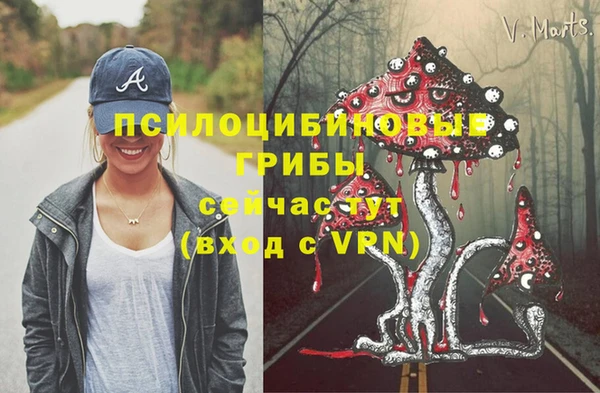 трава Тында