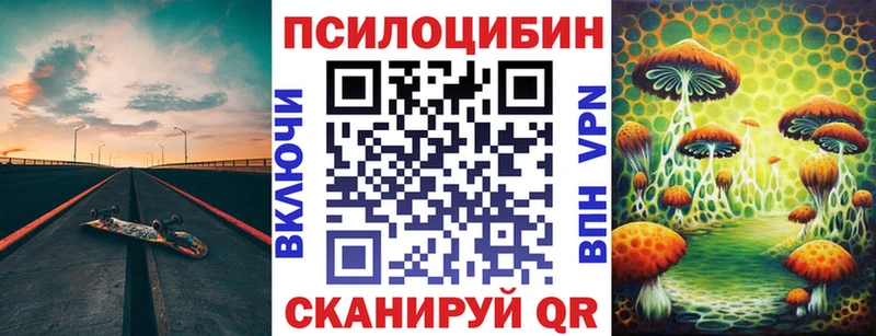 площадка официальный сайт  Новомичуринск  Псилоцибиновые грибы MAGIC MUSHROOMS  дарнет шоп 
